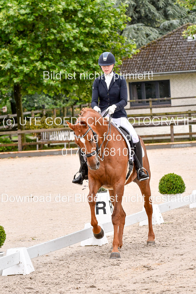 Klein Offenseth  Dressur  1.8.21 | 01082021 Dressur M+ +_172 