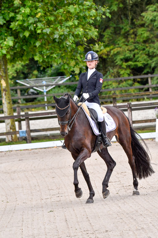 Klein Offenseth  Dressur  1.8.21 | 01082021 Dressur M+ +_001 