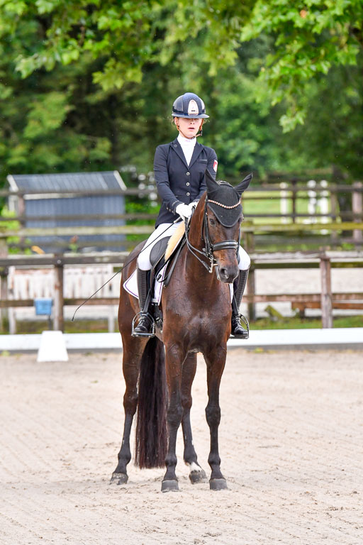 Klein Offenseth  Dressur  1.8.21 | 01082021 Dressur M+ +_006 