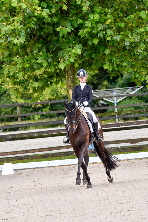 Klein Offenseth  Dressur  1.8.21 | 01082021 Dressur M+ +_009 