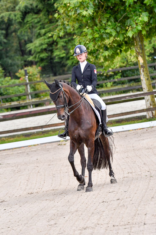 Klein Offenseth  Dressur  1.8.21 | 01082021 Dressur M+ +_016 