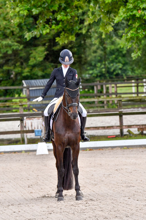 Klein Offenseth  Dressur  1.8.21 | 01082021 Dressur M+ +_017 