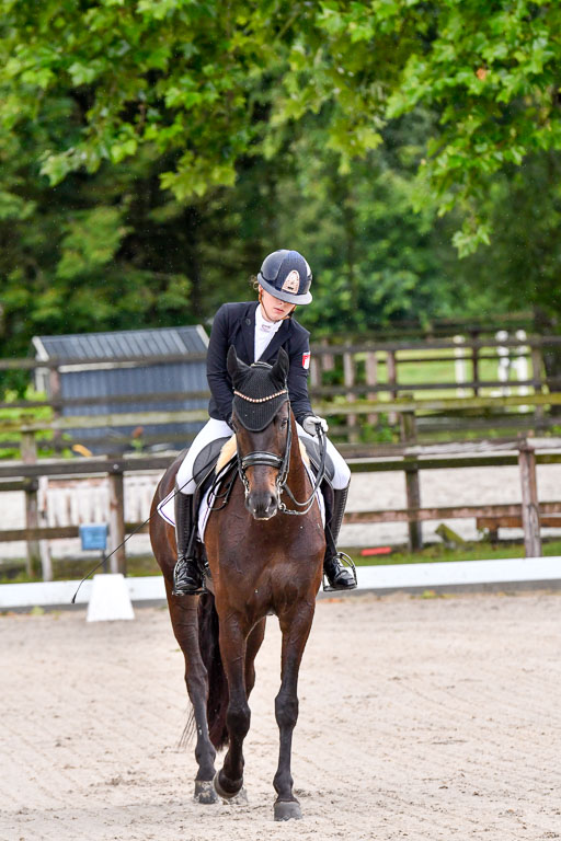 Klein Offenseth  Dressur  1.8.21 | 01082021 Dressur M+ +_018 