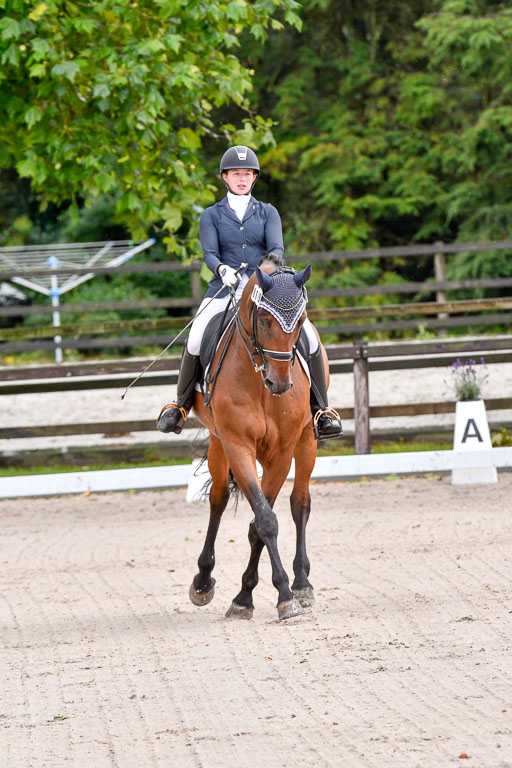 Klein Offenseth  Dressur  1.8.21 | 01082021 Dressur M+ +_028 