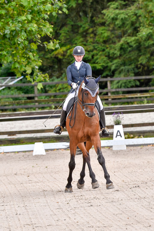 Klein Offenseth  Dressur  1.8.21 | 01082021 Dressur M+ +_029 