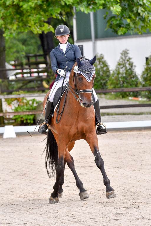 Klein Offenseth  Dressur  1.8.21 | 01082021 Dressur M+ +_033 