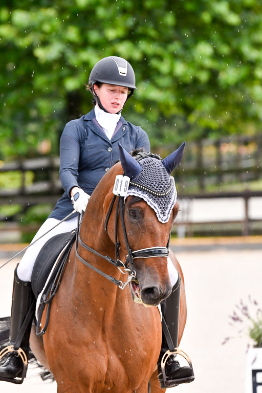 Klein Offenseth  Dressur  1.8.21 | 01082021 Dressur M+ +_036 