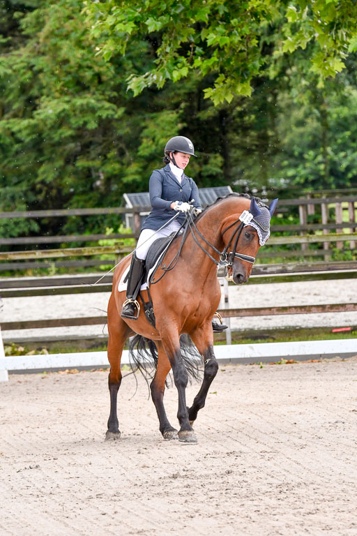 Klein Offenseth  Dressur  1.8.21 | 01082021 Dressur M+ +_037 