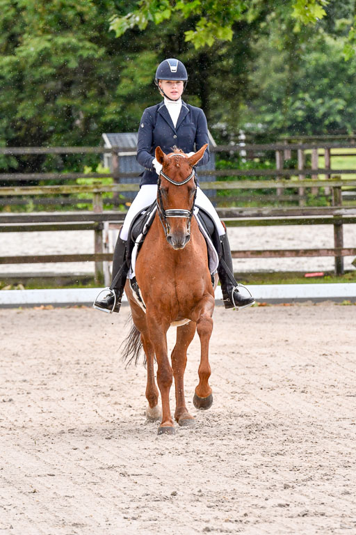 Klein Offenseth  Dressur  1.8.21 | 01082021 Dressur M+ +_050 