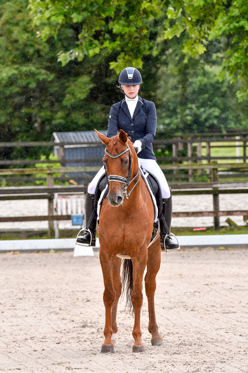 Klein Offenseth  Dressur  1.8.21 | 01082021 Dressur M+ +_051 