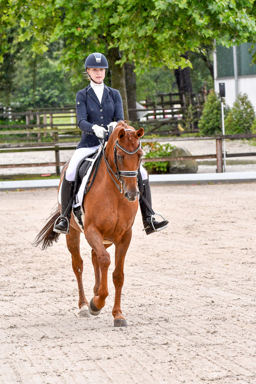 Klein Offenseth  Dressur  1.8.21 | 01082021 Dressur M+ +_053 