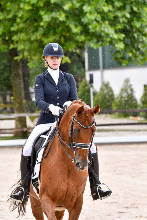 Klein Offenseth  Dressur  1.8.21 | 01082021 Dressur M+ +_054 