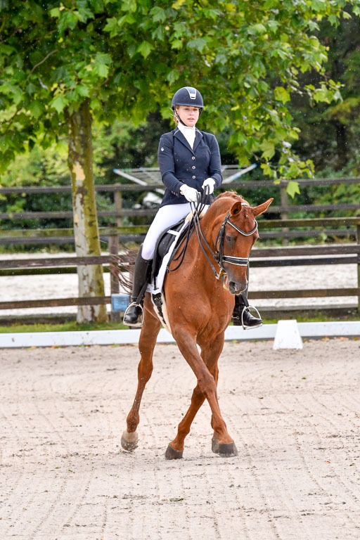 Klein Offenseth  Dressur  1.8.21 | 01082021 Dressur M+ +_055 