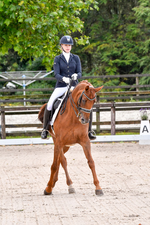 Klein Offenseth  Dressur  1.8.21 | 01082021 Dressur M+ +_056 