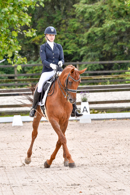 Klein Offenseth  Dressur  1.8.21 | 01082021 Dressur M+ +_057 