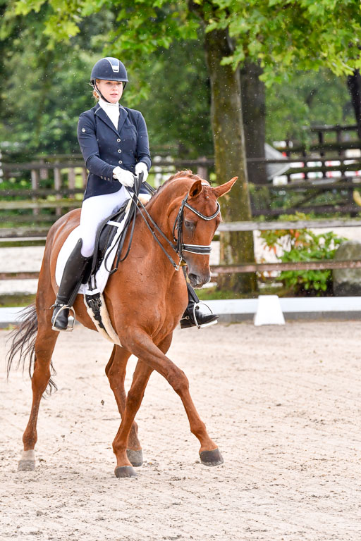 Klein Offenseth  Dressur  1.8.21 | 01082021 Dressur M+ +_060 
