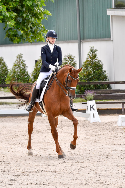 Klein Offenseth  Dressur  1.8.21 | 01082021 Dressur M+ +_062 