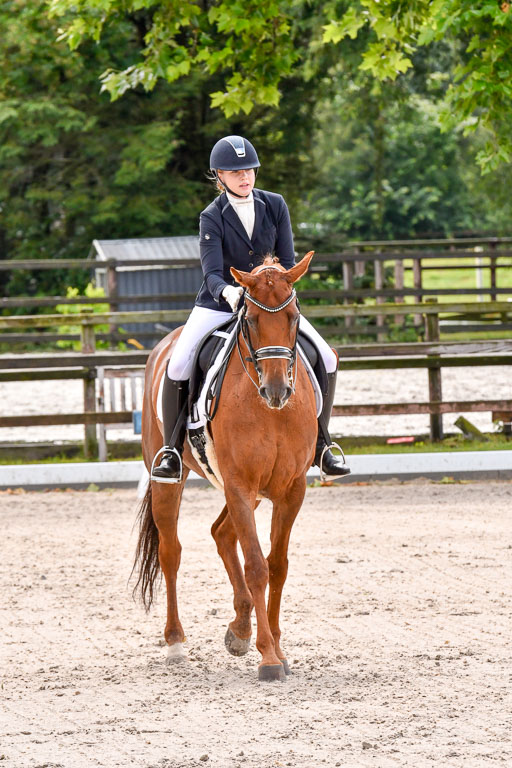 Klein Offenseth  Dressur  1.8.21 | 01082021 Dressur M+ +_065 