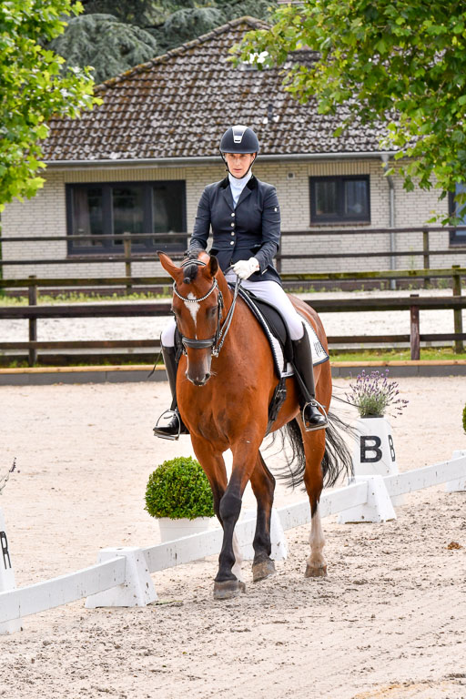 Klein Offenseth  Dressur  1.8.21 | 01082021 Dressur M+ +_066 