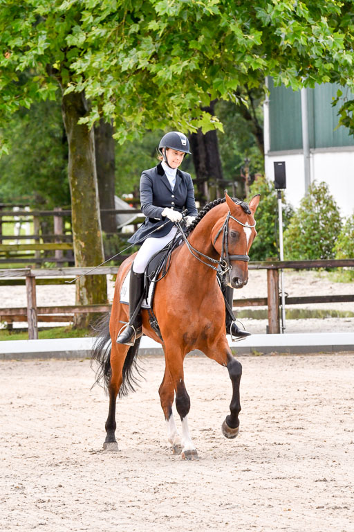 Klein Offenseth  Dressur  1.8.21 | 01082021 Dressur M+ +_072 