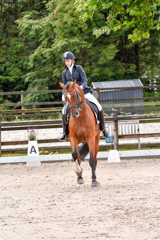 Klein Offenseth  Dressur  1.8.21 | 01082021 Dressur M+ +_073 