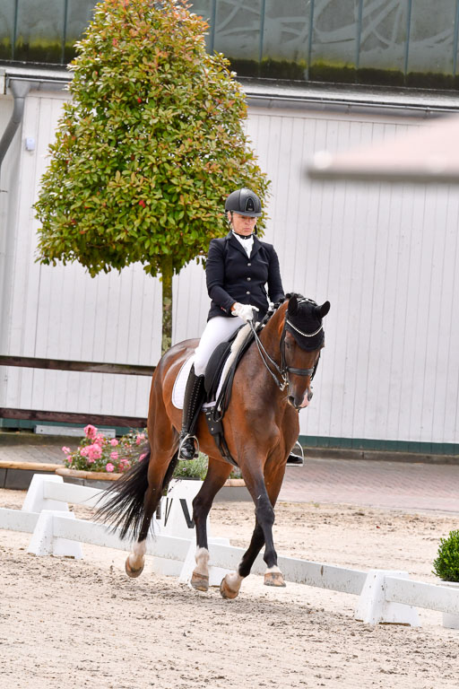 Klein Offenseth  Dressur  1.8.21 | 01082021 Dressur M+ +_076 