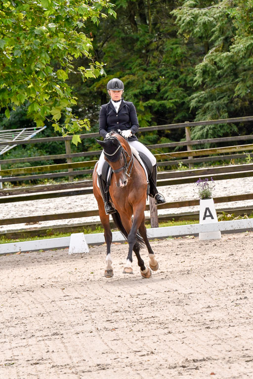 Klein Offenseth  Dressur  1.8.21 | 01082021 Dressur M+ +_078 