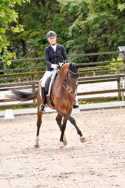 Klein Offenseth  Dressur  1.8.21 | 01082021 Dressur M+ +_080 