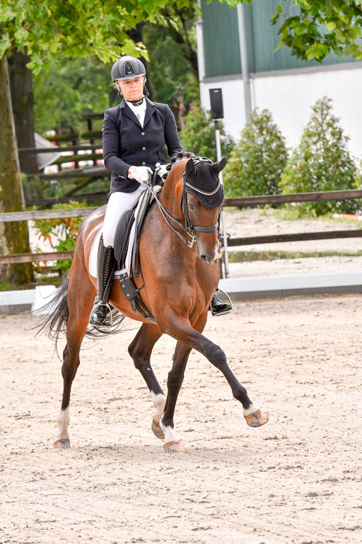 Klein Offenseth  Dressur  1.8.21 | 01082021 Dressur M+ +_082 