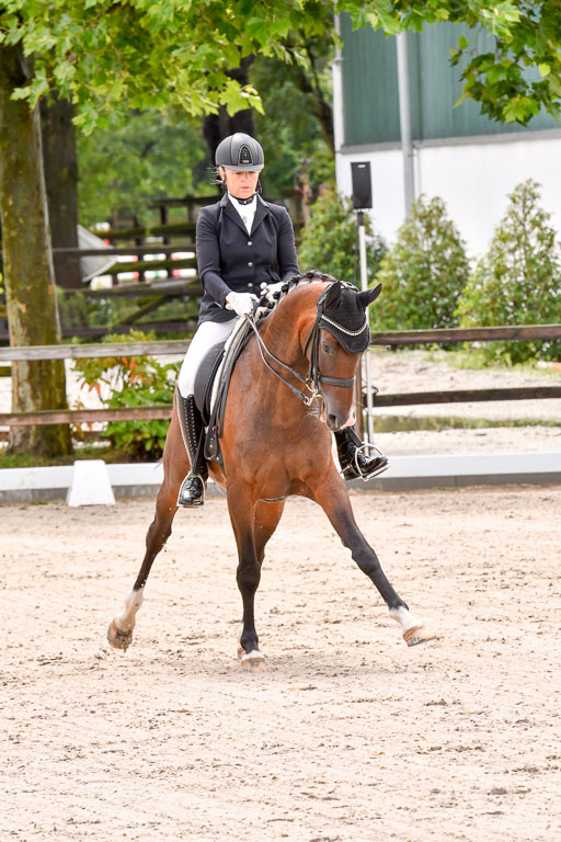 Klein Offenseth  Dressur  1.8.21 | 01082021 Dressur M+ +_084 