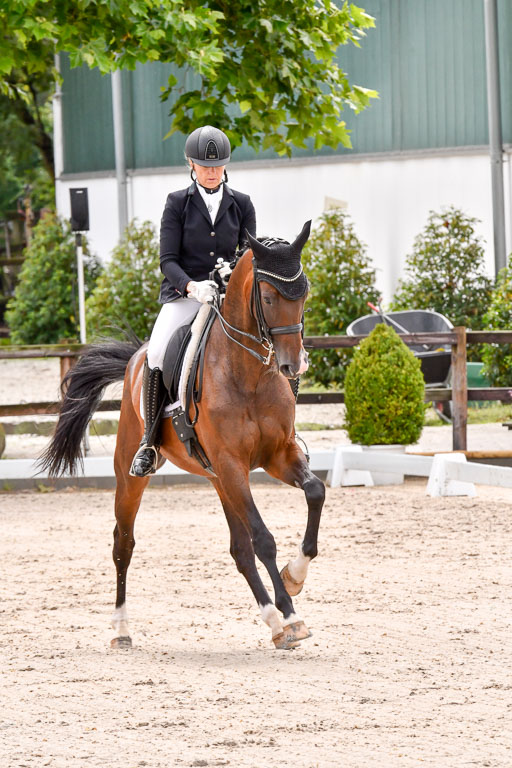 Klein Offenseth  Dressur  1.8.21 | 01082021 Dressur M+ +_085 