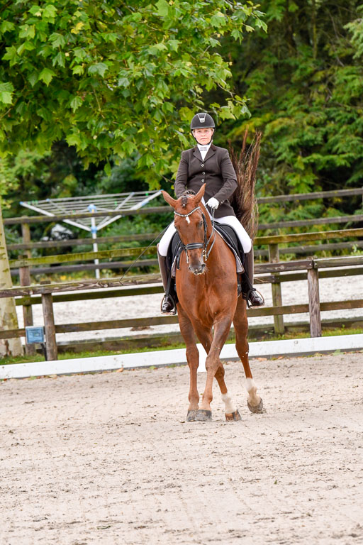 Klein Offenseth  Dressur  1.8.21 | 01082021 Dressur M+ +_113 