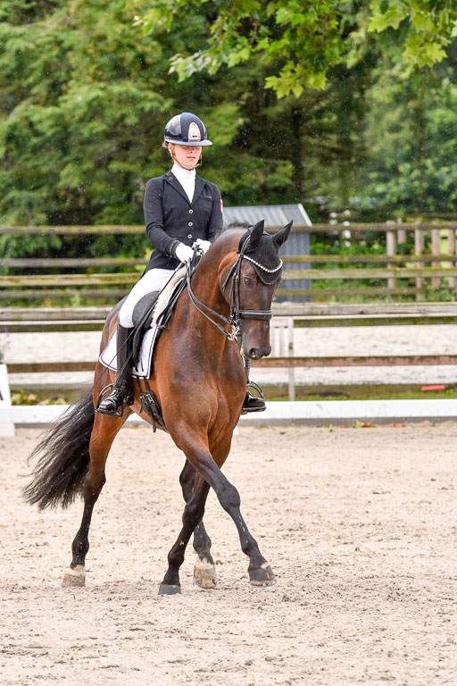 Klein Offenseth  Dressur  1.8.21 | 01082021 Dressur M+ +_130 