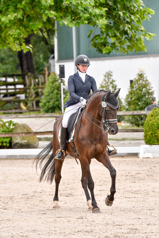 Klein Offenseth  Dressur  1.8.21 | 01082021 Dressur M+ +_153 