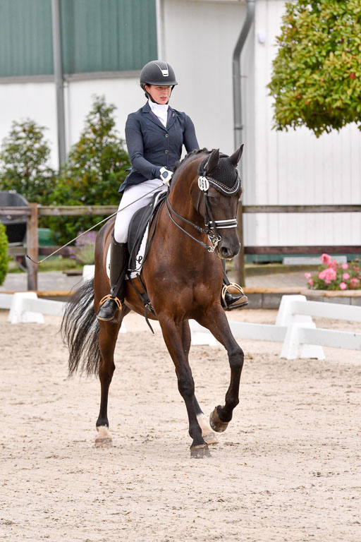 Klein Offenseth  Dressur  1.8.21 | 01082021 Dressur M+ +_154 