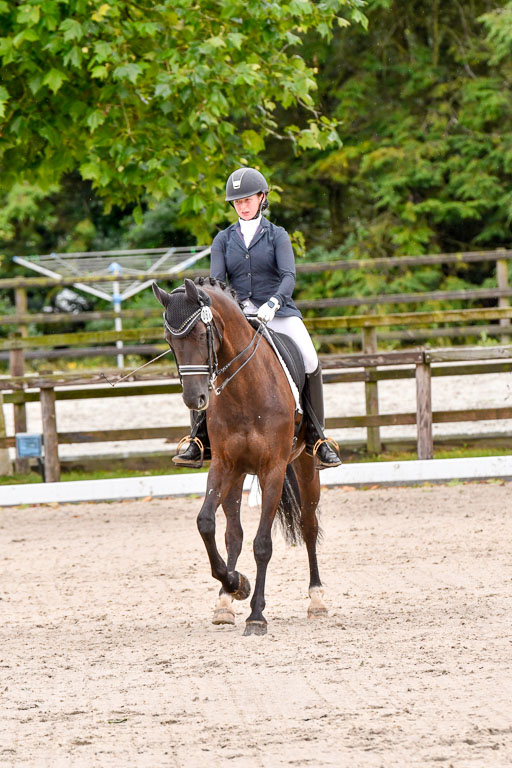 Klein Offenseth  Dressur  1.8.21 | 01082021 Dressur M+ +_155 