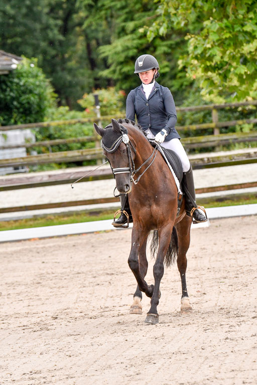 Klein Offenseth  Dressur  1.8.21 | 01082021 Dressur M+ +_157 