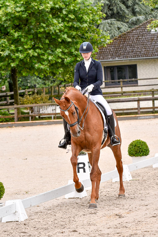 Klein Offenseth  Dressur  1.8.21 | 01082021 Dressur M+ +_172 