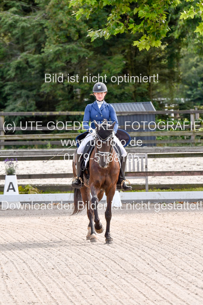 Klein Offenseth Dressur  1.8.2021 | 01082021 Dressur  KL S +_001 