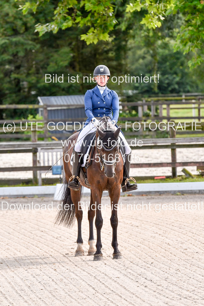 Klein Offenseth Dressur  1.8.2021 | 01082021 Dressur  KL S +_002 