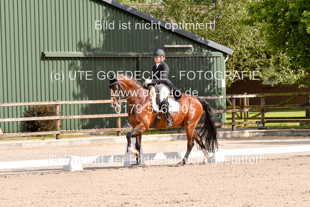 Klein Offenseth Dressur  1.8.2021 | 01082021 Dressur  KL S +_009 