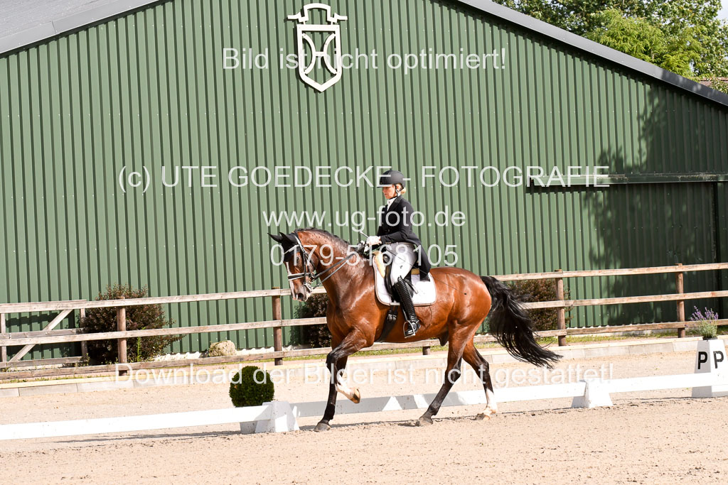Klein Offenseth Dressur  1.8.2021 | 01082021 Dressur  KL S +_010 