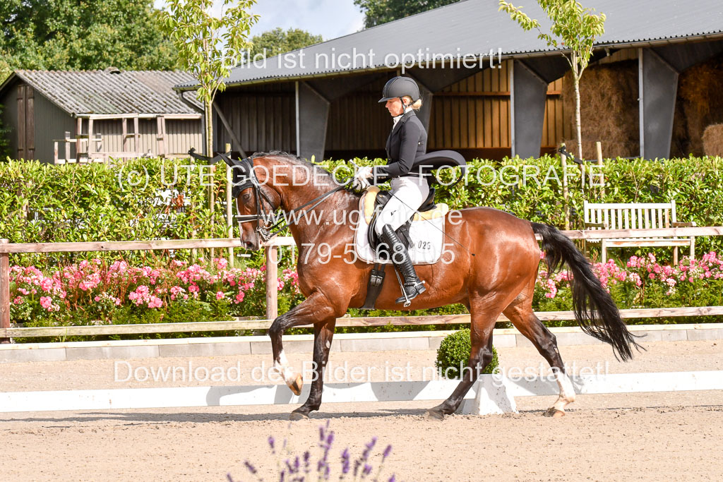 Klein Offenseth Dressur  1.8.2021 | 01082021 Dressur  KL S +_011 