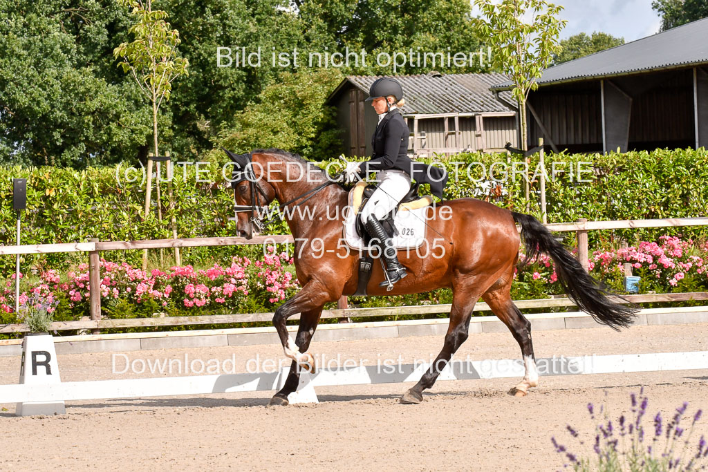 Klein Offenseth Dressur  1.8.2021 | 01082021 Dressur  KL S +_012 