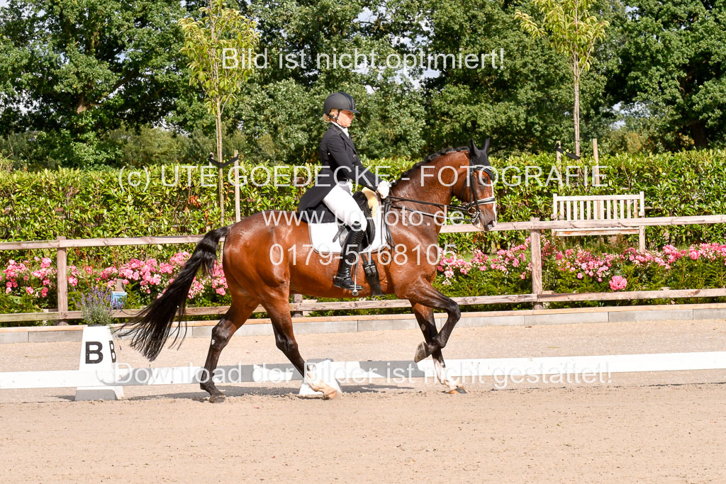 Klein Offenseth Dressur  1.8.2021 | 01082021 Dressur  KL S +_014 