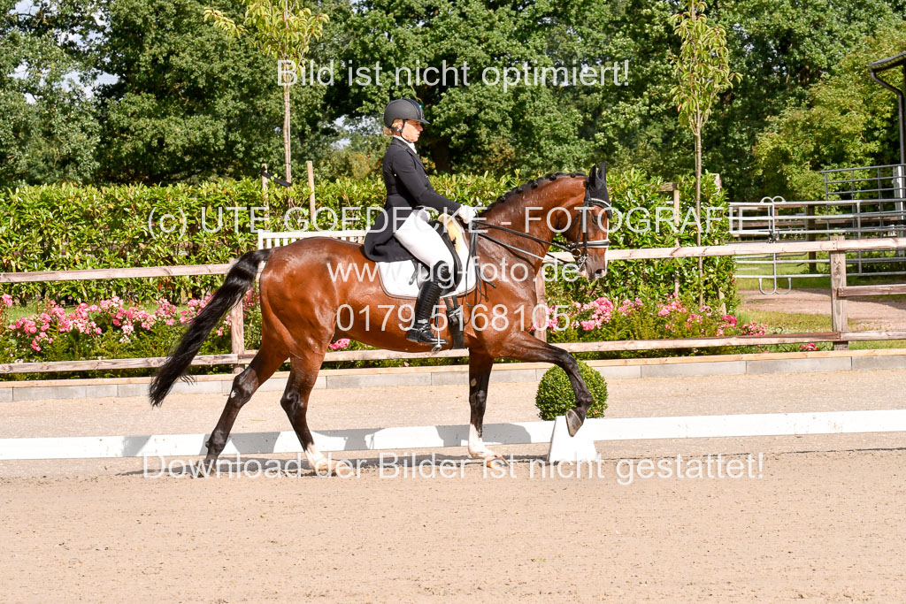 Klein Offenseth Dressur  1.8.2021 | 01082021 Dressur  KL S +_015 