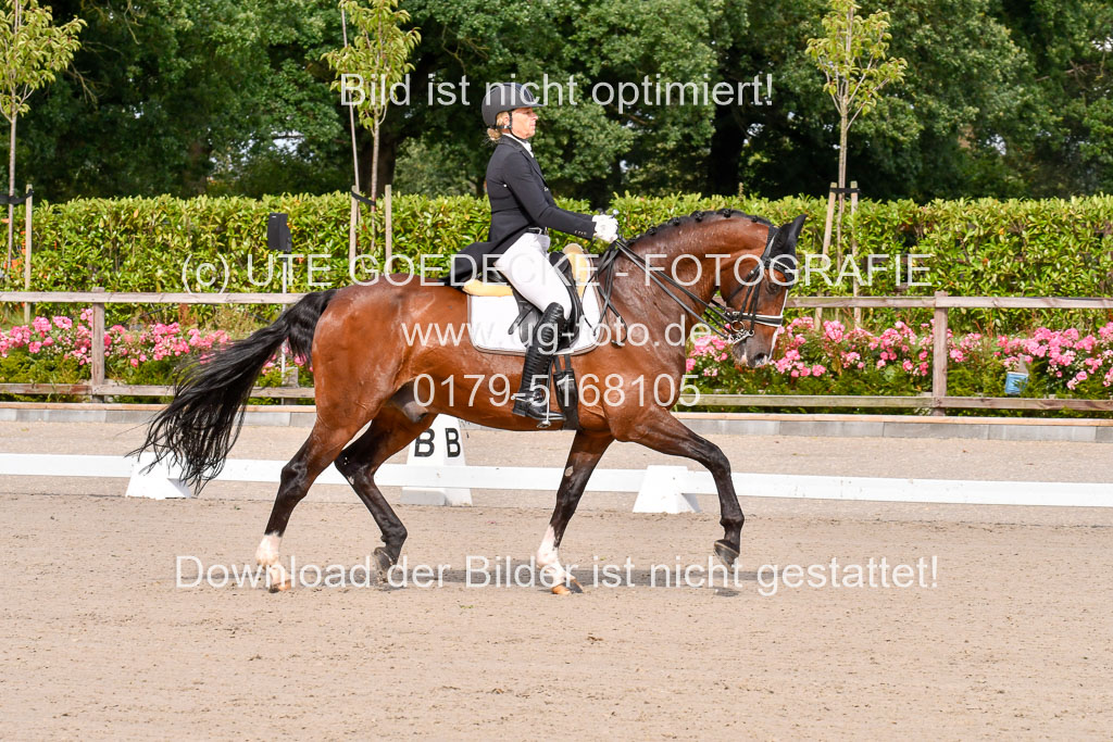 Klein Offenseth Dressur  1.8.2021 | 01082021 Dressur  KL S +_020 