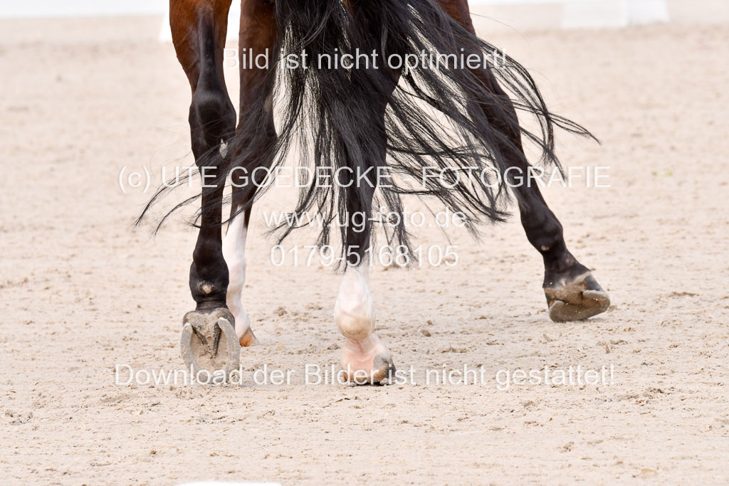 Klein Offenseth Dressur  1.8.2021 | 01082021 Dressur  KL S +_021 