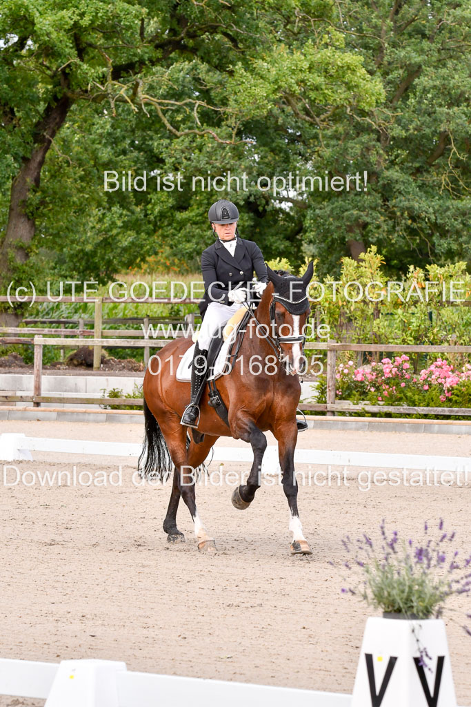 Klein Offenseth Dressur  1.8.2021 | 01082021 Dressur  KL S +_025 