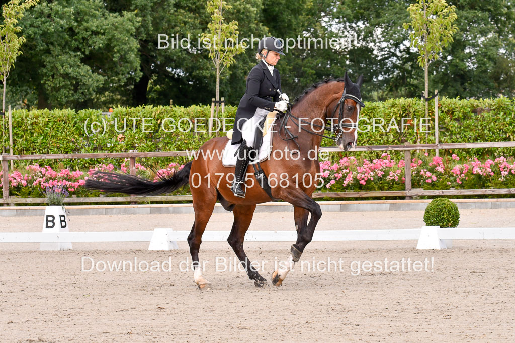 Klein Offenseth Dressur  1.8.2021 | 01082021 Dressur  KL S +_031 